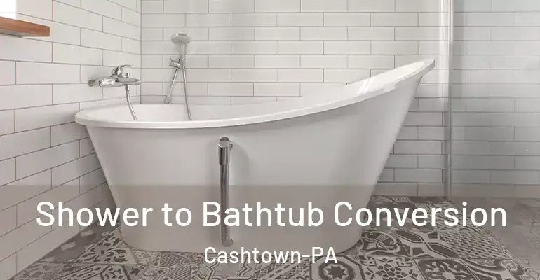 inner Bathroom imggen Shower to Bathtub Conversion Cashtown-PA