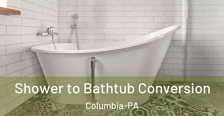 inner Bathroom imggen Shower to Bathtub Conversion Columbia-PA
