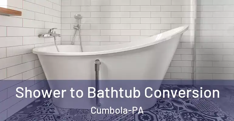 inner Bathroom imggen Shower to Bathtub Conversion Cumbola-PA