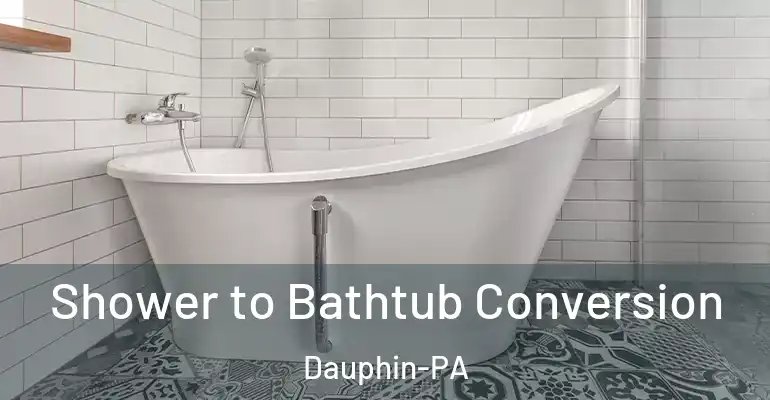 inner Bathroom imggen Shower to Bathtub Conversion Dauphin-PA