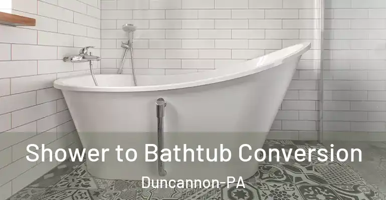 inner Bathroom imggen Shower to Bathtub Conversion Duncannon-PA