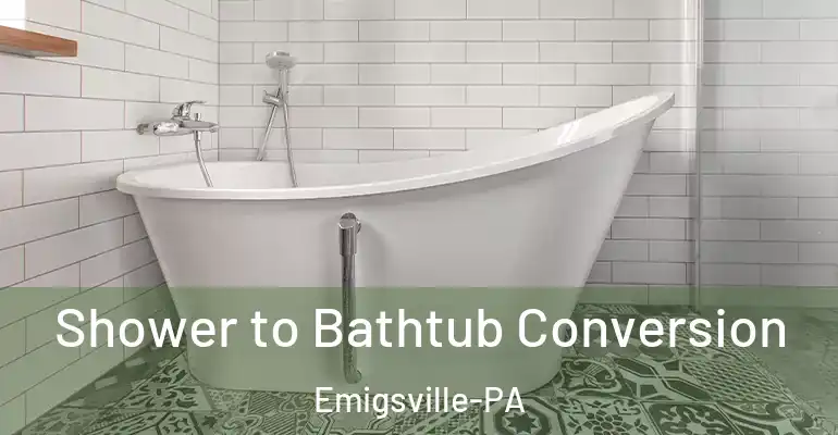 inner Bathroom imggen Shower to Bathtub Conversion Emigsville-PA