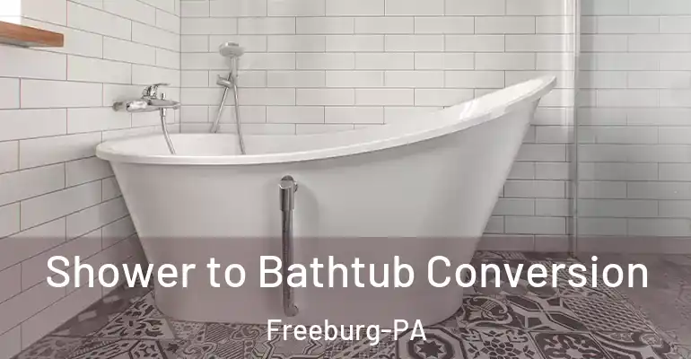 inner Bathroom imggen Shower to Bathtub Conversion Freeburg-PA