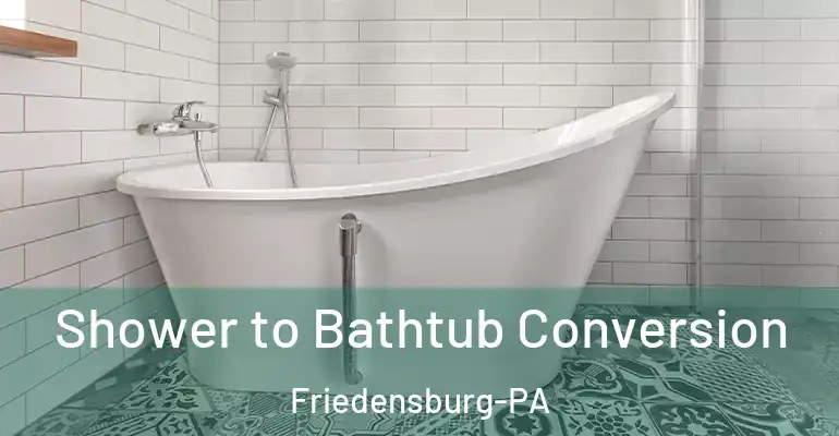 inner Bathroom imggen Shower to Bathtub Conversion Friedensburg-PA
