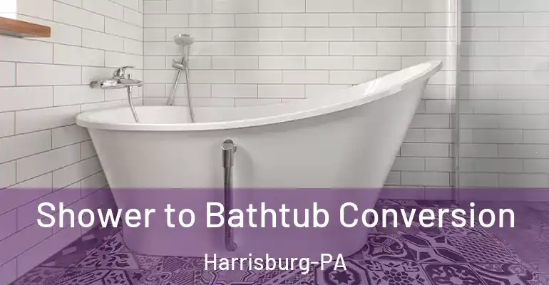 inner Bathroom imggen Shower to Bathtub Conversion Harrisburg-PA