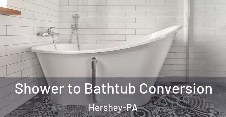 inner Bathroom imggen Shower to Bathtub Conversion Hershey-PA