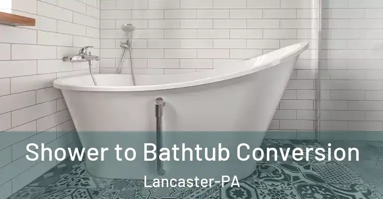 inner Bathroom imggen Shower to Bathtub Conversion Lancaster-PA