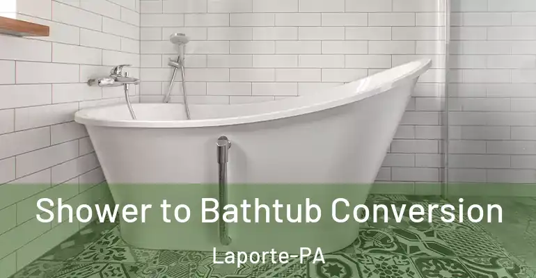 inner Bathroom imggen Shower to Bathtub Conversion Laporte-PA
