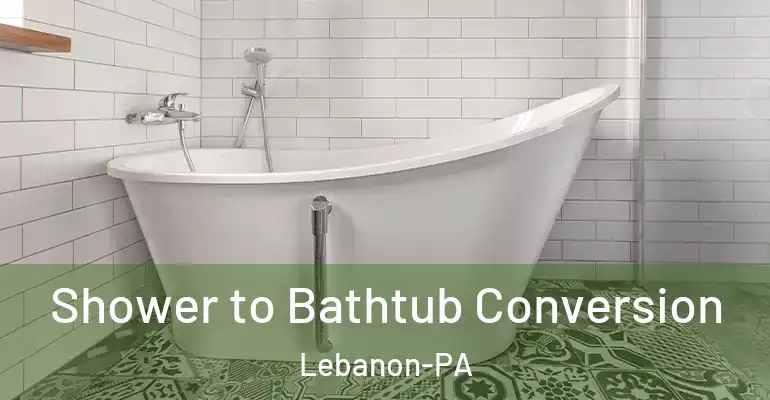 inner Bathroom imggen Shower to Bathtub Conversion Lebanon-PA