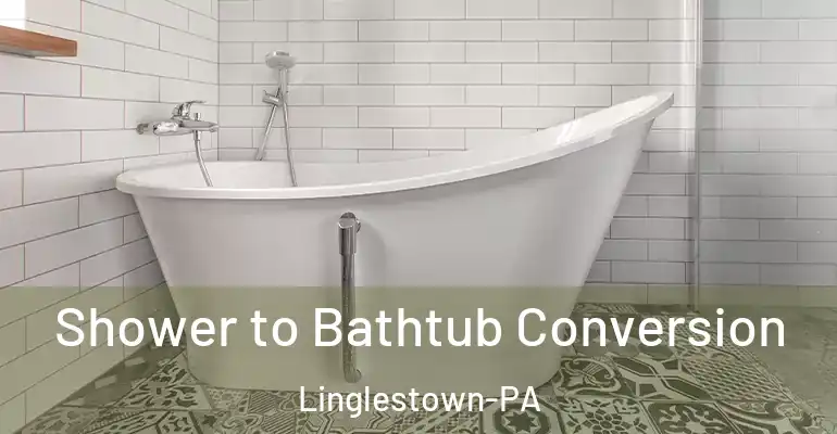 inner Bathroom imggen Shower to Bathtub Conversion Linglestown-PA
