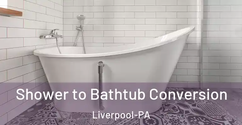 inner Bathroom imggen Shower to Bathtub Conversion Liverpool-PA