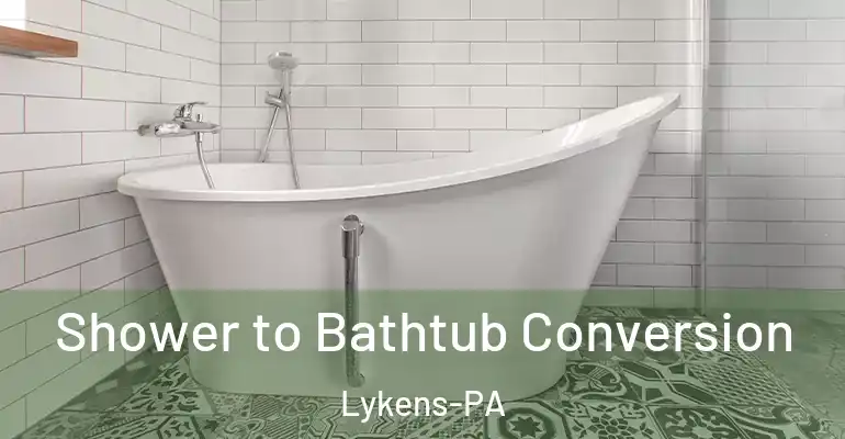 inner Bathroom imggen Shower to Bathtub Conversion Lykens-PA