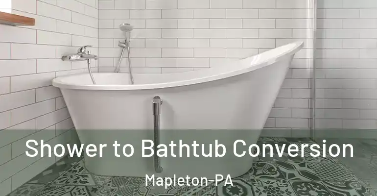 inner Bathroom imggen Shower to Bathtub Conversion Mapleton-PA
