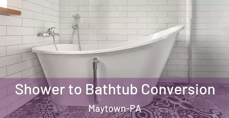 inner Bathroom imggen Shower to Bathtub Conversion Maytown-PA