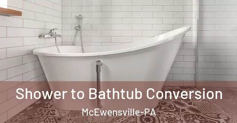 inner Bathroom imggen Shower to Bathtub Conversion McEwensville-PA
