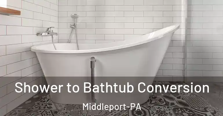 inner Bathroom imggen Shower to Bathtub Conversion Middleport-PA