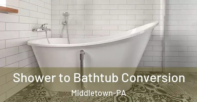 inner Bathroom imggen Shower to Bathtub Conversion Middletown-PA