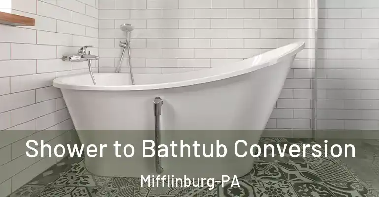 inner Bathroom imggen Shower to Bathtub Conversion Mifflinburg-PA