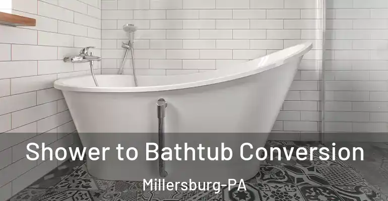 inner Bathroom imggen Shower to Bathtub Conversion Millersburg-PA