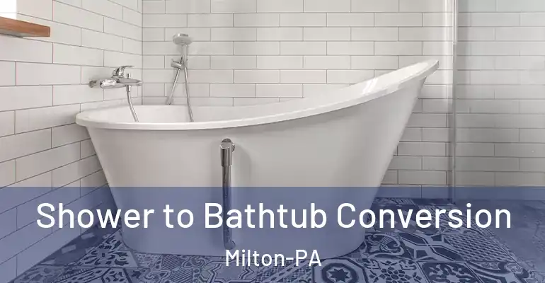 inner Bathroom imggen Shower to Bathtub Conversion Milton-PA