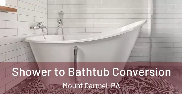inner Bathroom imggen Shower to Bathtub Conversion Mount Carmel-PA