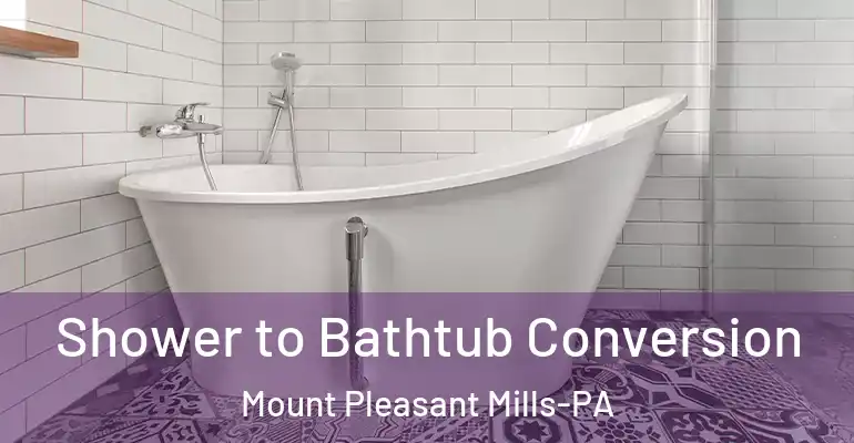 inner Bathroom imggen Shower to Bathtub Conversion Mount Pleasant Mills-PA