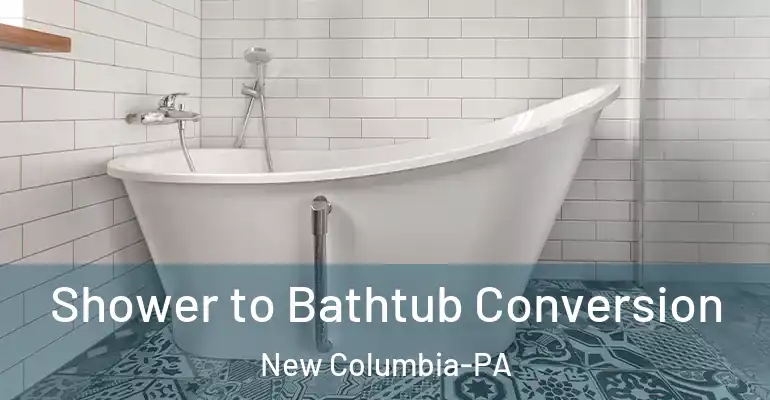 inner Bathroom imggen Shower to Bathtub Conversion New Columbia-PA