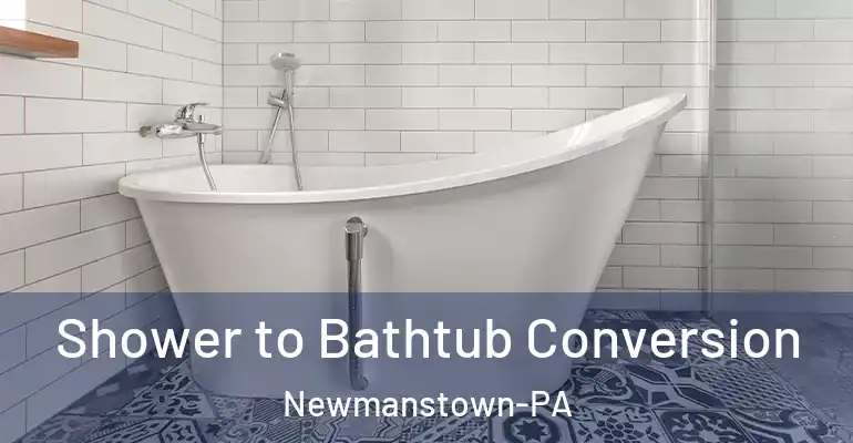 inner Bathroom imggen Shower to Bathtub Conversion Newmanstown-PA