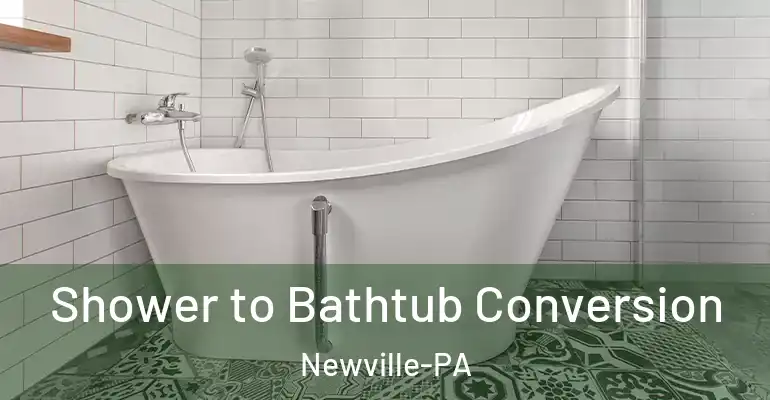 inner Bathroom imggen Shower to Bathtub Conversion Newville-PA
