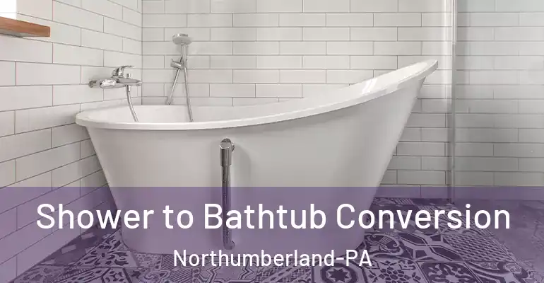inner Bathroom imggen Shower to Bathtub Conversion Northumberland-PA