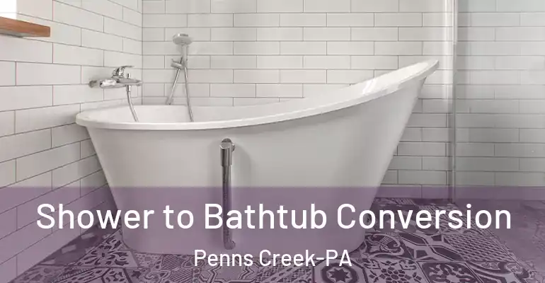 inner Bathroom imggen Shower to Bathtub Conversion Penns Creek-PA