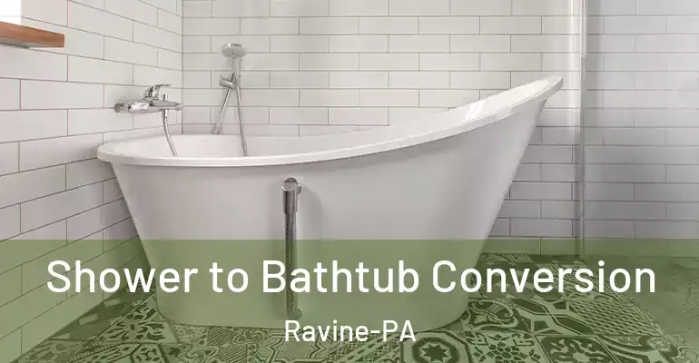 inner Bathroom imggen Shower to Bathtub Conversion Ravine-PA