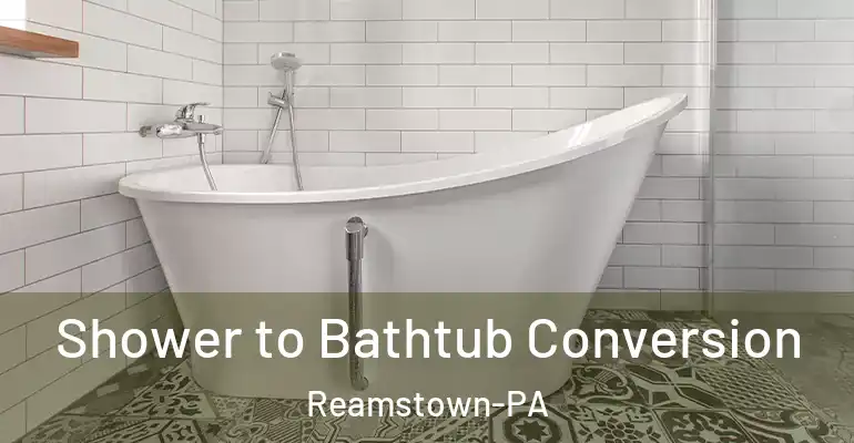 inner Bathroom imggen Shower to Bathtub Conversion Reamstown-PA