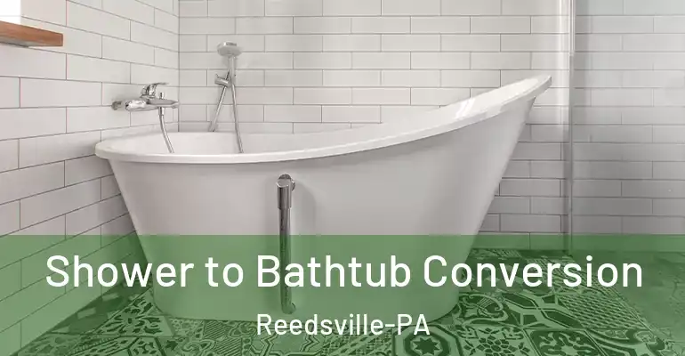 inner Bathroom imggen Shower to Bathtub Conversion Reedsville-PA