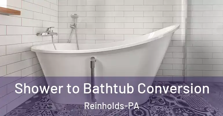 inner Bathroom imggen Shower to Bathtub Conversion Reinholds-PA