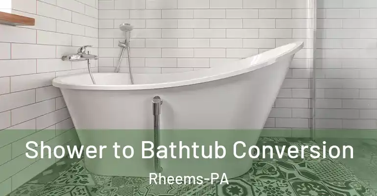 inner Bathroom imggen Shower to Bathtub Conversion Rheems-PA