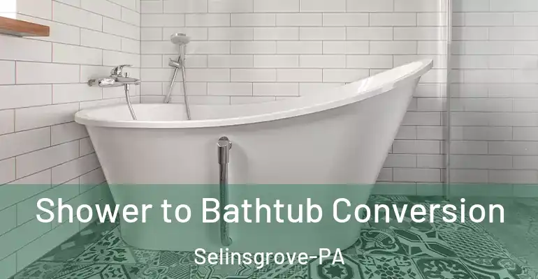 inner Bathroom imggen Shower to Bathtub Conversion Selinsgrove-PA