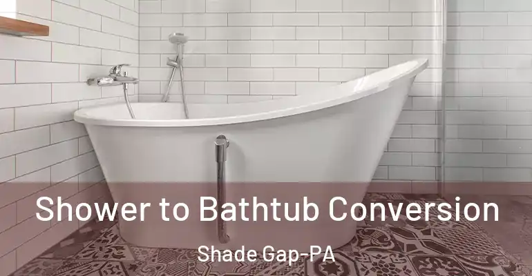 inner Bathroom imggen Shower to Bathtub Conversion Shade Gap-PA