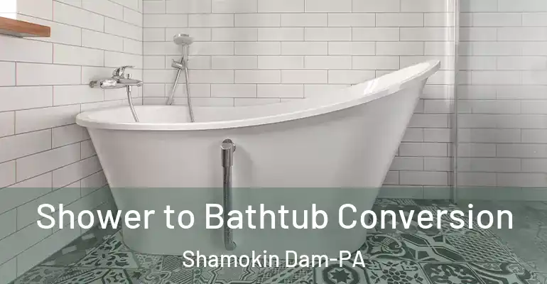 inner Bathroom imggen Shower to Bathtub Conversion Shamokin Dam-PA