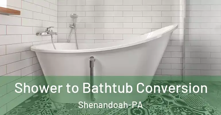 inner Bathroom imggen Shower to Bathtub Conversion Shenandoah-PA