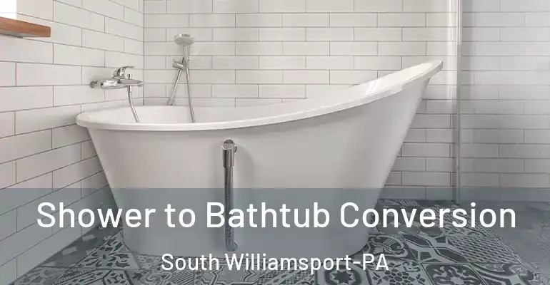 inner Bathroom imggen Shower to Bathtub Conversion South Williamsport-PA