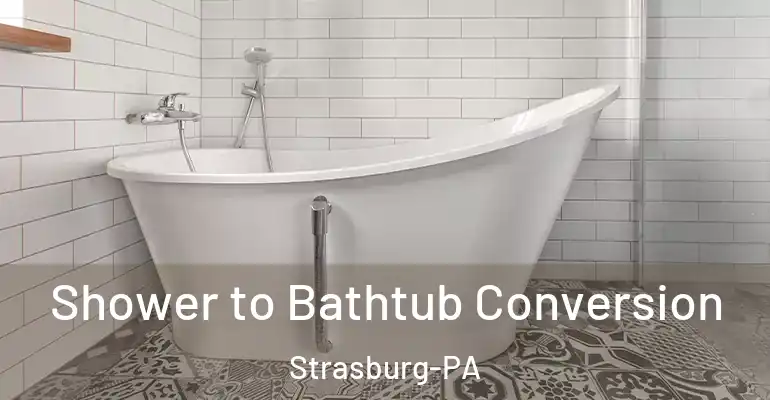 inner Bathroom imggen Shower to Bathtub Conversion Strasburg-PA