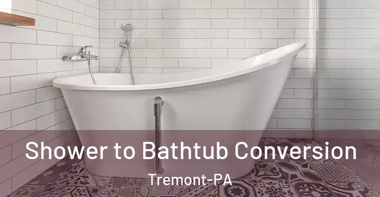 inner Bathroom imggen Shower to Bathtub Conversion Tremont-PA