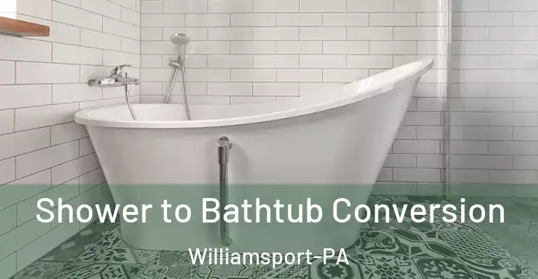 inner Bathroom imggen Shower to Bathtub Conversion Williamsport-PA