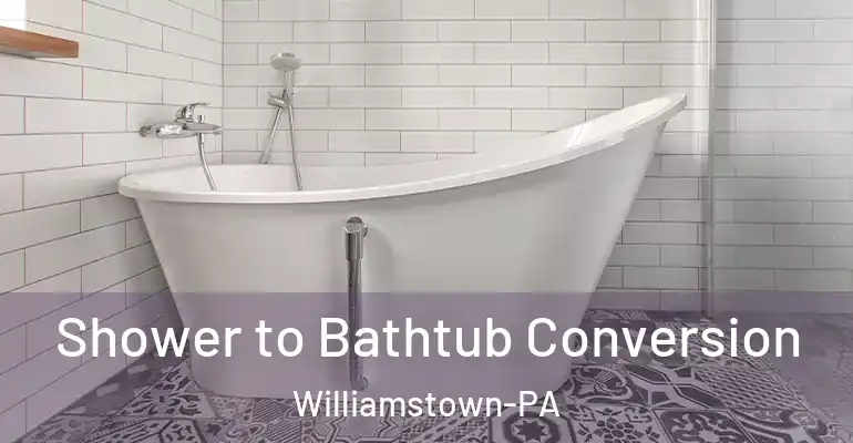 inner Bathroom imggen Shower to Bathtub Conversion Williamstown-PA