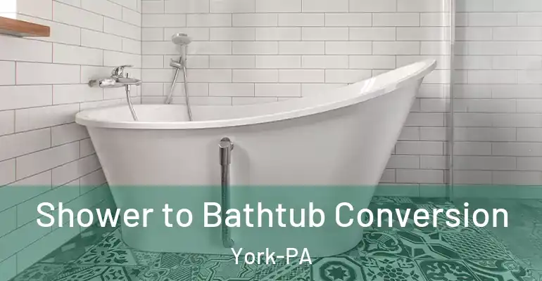 inner Bathroom imggen Shower to Bathtub Conversion York-PA