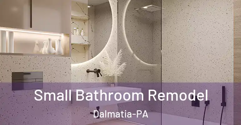inner Bathroom imggen Small Bathroom Remodel Dalmatia-PA