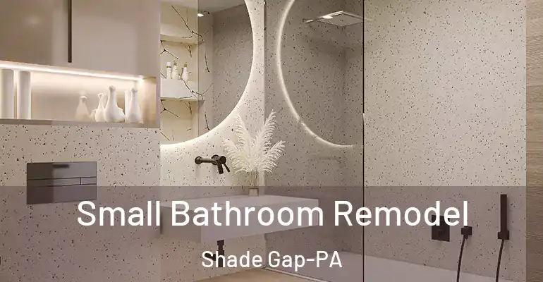 inner Bathroom imggen Small Bathroom Remodel Shade Gap-PA