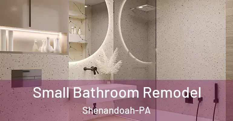 inner Bathroom imggen Small Bathroom Remodel Shenandoah-PA