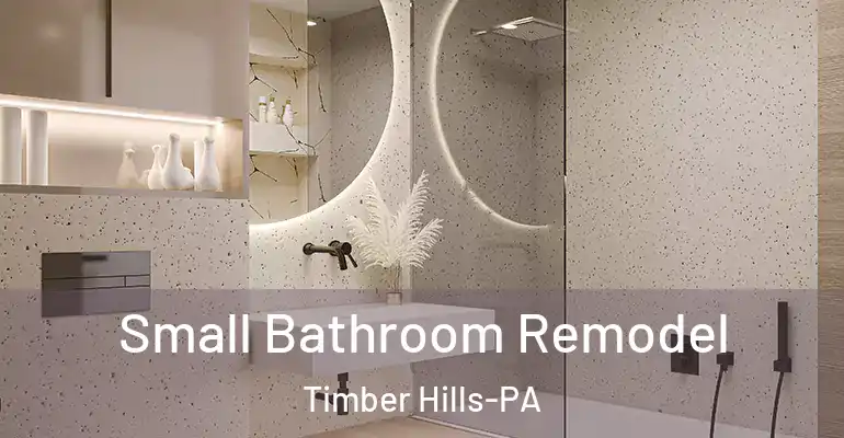 inner Bathroom imggen Small Bathroom Remodel Timber Hills-PA
